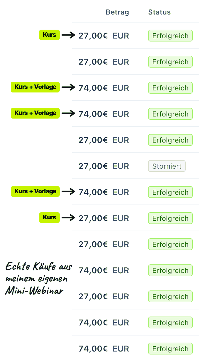 Stripe-Ausschnitt: Käufe der Mini-Webinar-Methode für 27 € und 74 €, fast alle erfolgreich